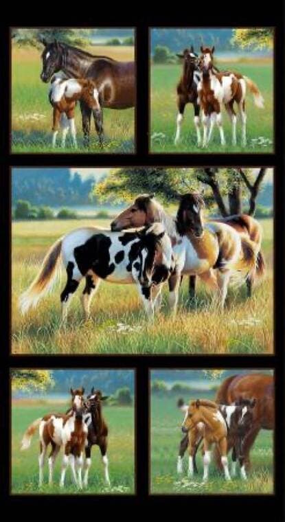 Black Panel Pasture Buddies 24in