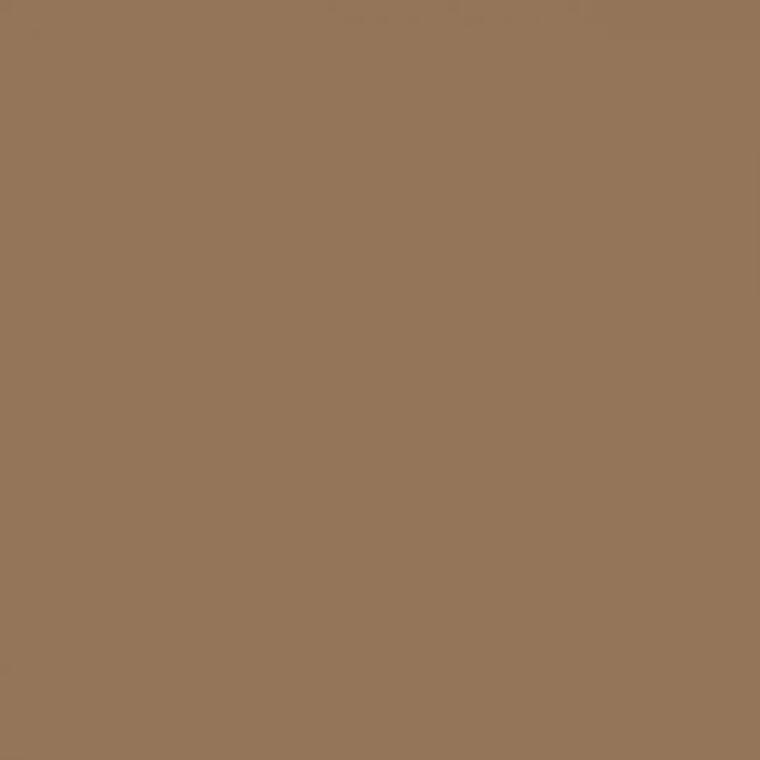 Confetti Cotton Solids Chestnut