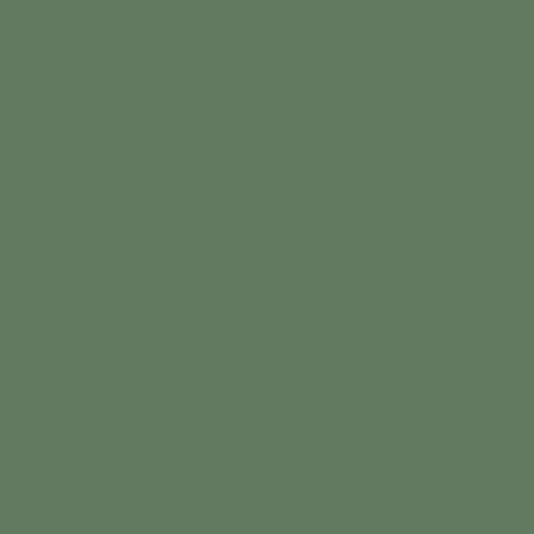 Confetti Cotton Solids Chive