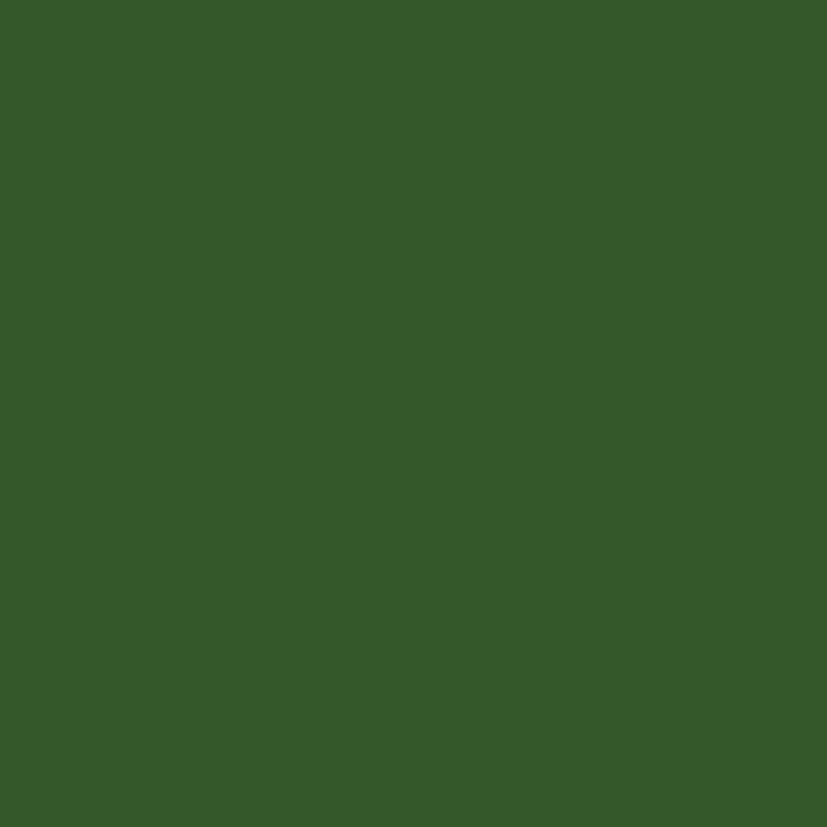 Confetti Cotton Solids Hunter