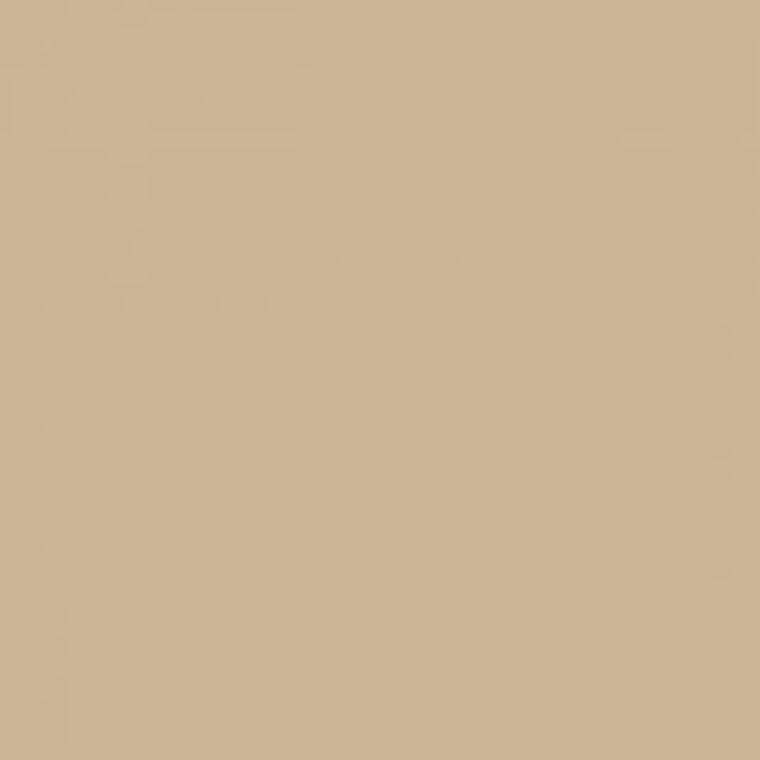 Confetti Cotton Solids Palomino