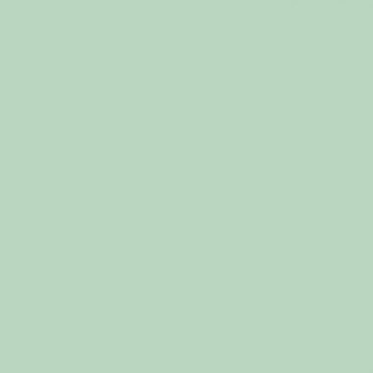 Confetti Cotton Solids Sage