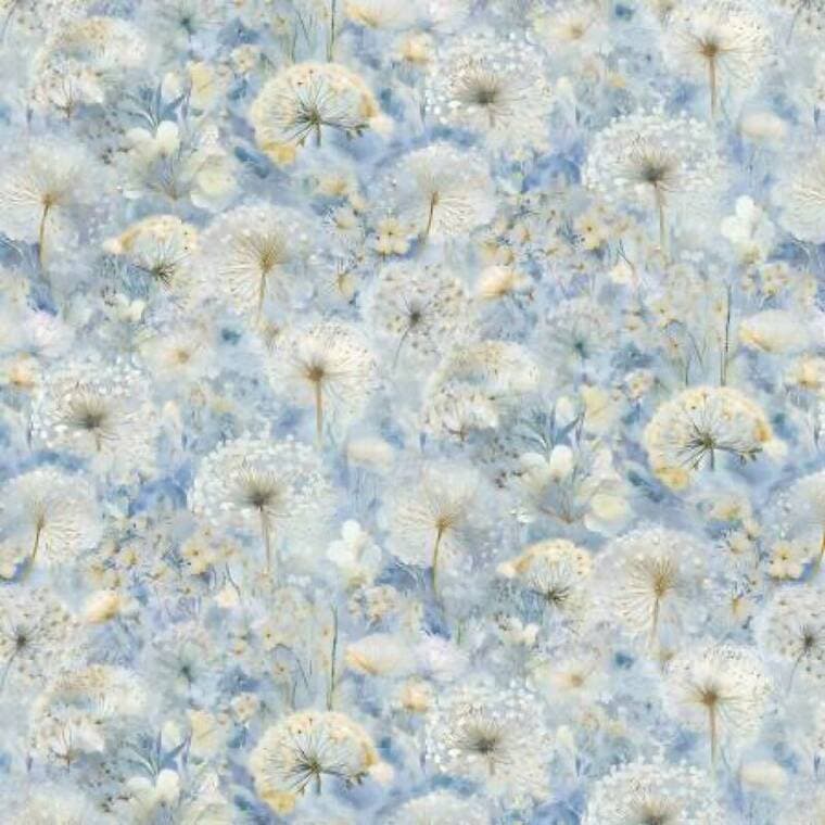 Sky Dandelion Field