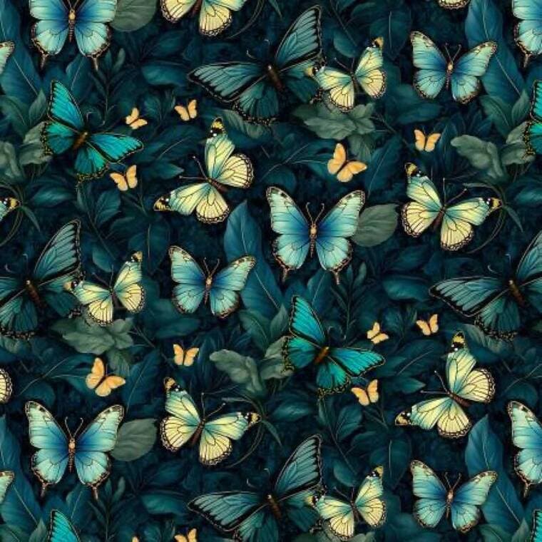 Midnight Midnight Butterflies