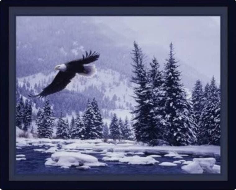 Free Flight Panel by Daniel Smith