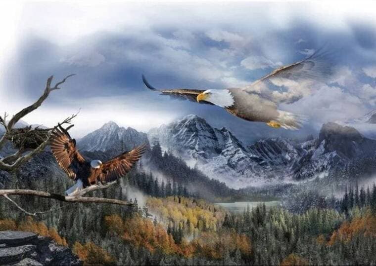 Hoffman Panel Eagles Call of the Wild