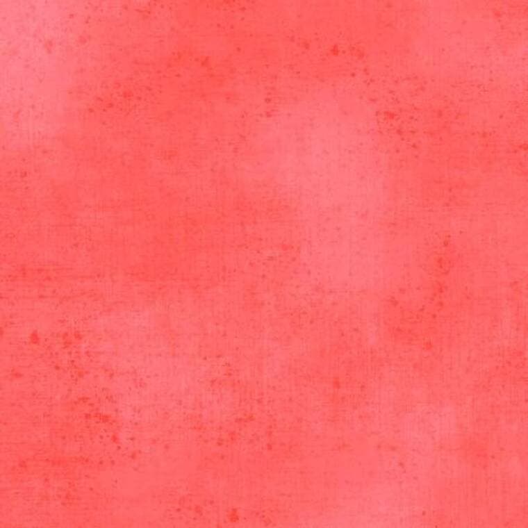 Gesso Salmon